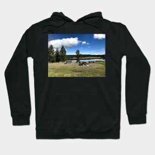 Tunkwa Lake Provincial Park Hoodie